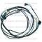 Lectric Limited 1956 Chevrolet Engine Harness 02240