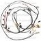 Lectric Limited 1955 Chevrolet Nomad Dash and Forward Lamp Harness 20120
