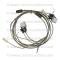 Lectric Limited 1964 Chevrolet Courtesy Light Harness 38249