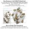 Lectric Limited 1957 Chevrolet Nomad Light Bulb Set CBK5700