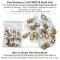 Lectric Limited 1956 Chevrolet Nomad Light Bulb Set CBK5600
