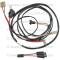 Lectric Limited 1955 Chevrolet Nomad Alternator Conversion Harness 20130