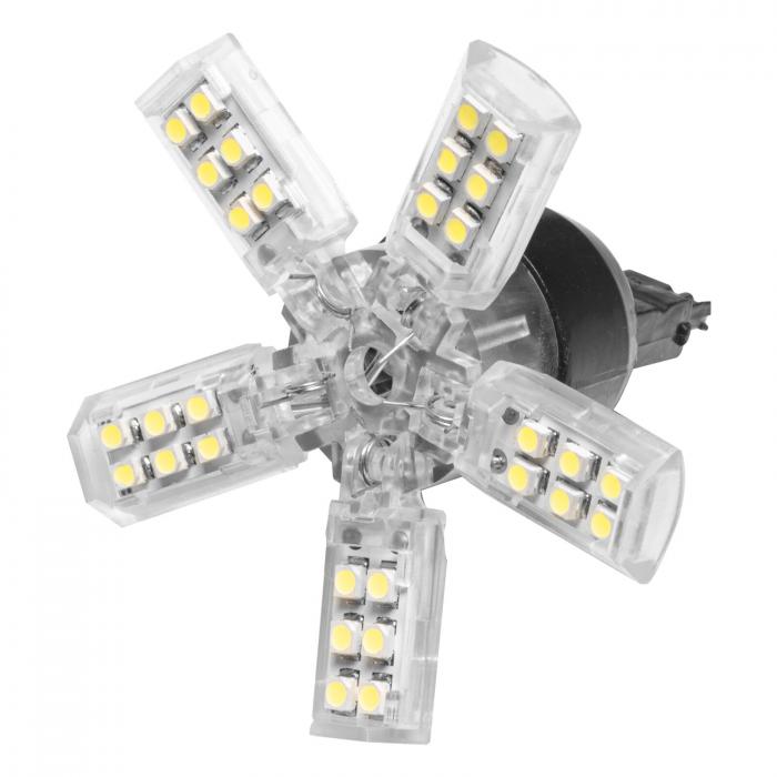 Spiderbulb
