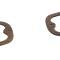 Montco Inc / Repops Tail Lamp Lens Gaskets, Pair, 47-53 Chevy GMC Pickup Truck R-CT257