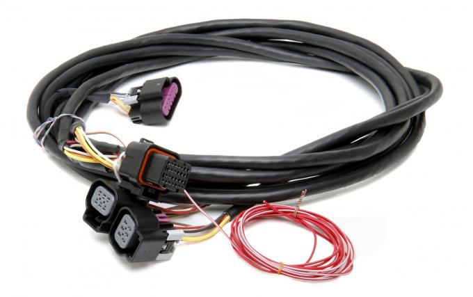 Holley EFI Dominator EFI GM Dual Drive-by-Wire Harness 558-411