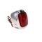 AMD Tail Light Assembly, 27 LED, Stainless Housing, LH, 47-53 Chevy GMC Truck X950-4047-3DL