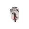 AMD Tail Light Assembly, 27 LED, Stainless Housing, LH, 47-53 Chevy GMC Truck X950-4047-3DL