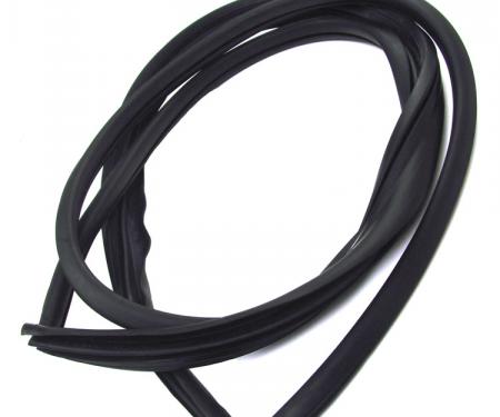 Precision Rear Window Seal WCR DB3129