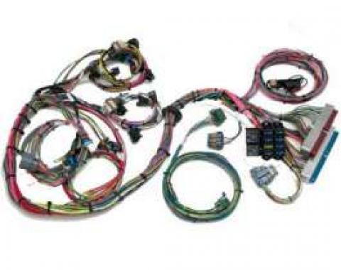 Chevy Wiring Harness, 1997-2004 Corvette LS1, LS6, Painless,1955-1957