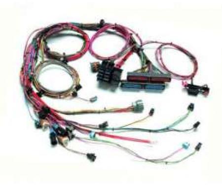 Chevy Wiring Harness, 2005-2006 LS2, Painless, 1955-1957