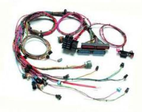 Chevy Wiring Harness, 2005-2006 LS2, Painless, 1955-1957
