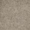 Covercraft DashMat Custom Dash Cover, Beige 0276-01-23