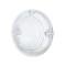 United Pacific Parking Light Lens, Clear Plastic For 1958 Chevy Impala 110154