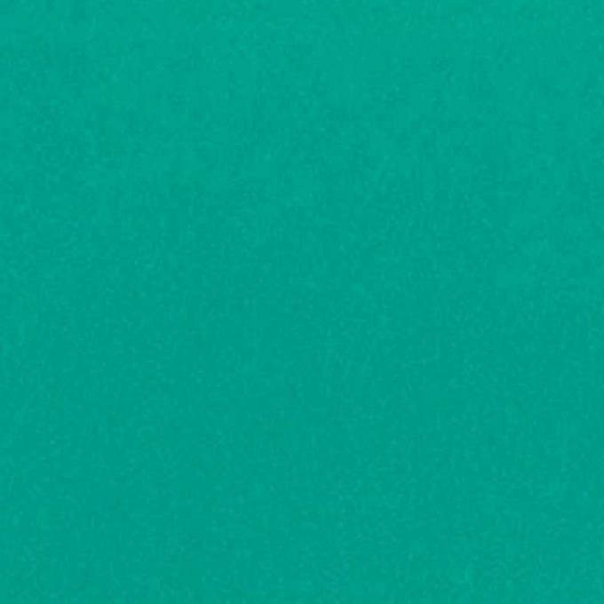 OER 1957 Chevrolet Medium Green Color Coat Spray 12 Oz. Aerosol Can PP7586