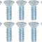 1947-53 Chevrolet, GMC Pickup Truck, Door Hinge Access Cover Screw Set, 10 Piece Set