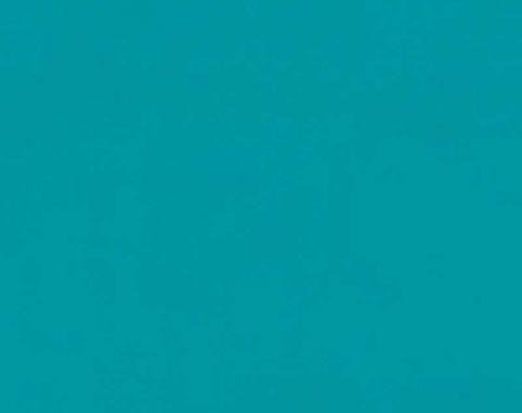 OER 1955, 57 Chevrolet Medium Turquoise Color Coat Spray 12 Oz. Aerosol Can PP1024